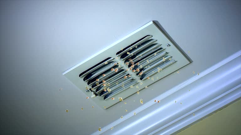 Best HVAC Air Duct Cleaning  in Homestead Meadows North, TX