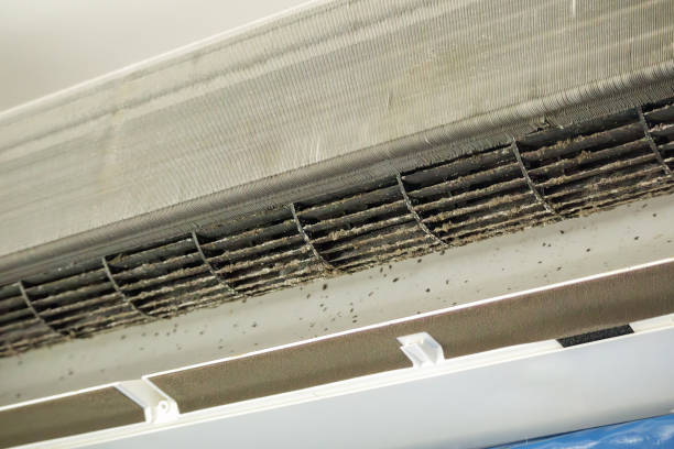 Ductwork Cleaning Services in Homestead Meadows North, TX